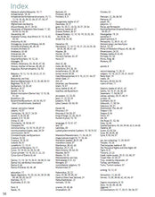 Load image into Gallery viewer, The Persians Textbook